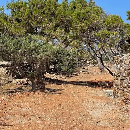 Sorokos Panagia 别墅 安提帕罗斯岛
